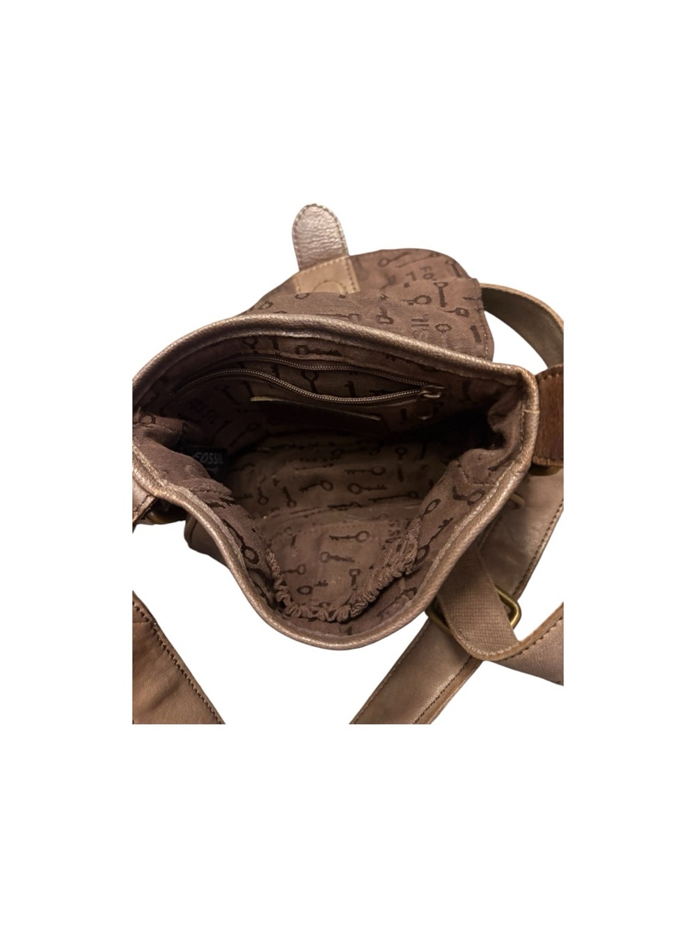 Fossil bundle - Picture 4 of 5
